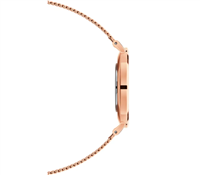 Armbanduhr Daniel Wellington Dame Petite Melrose in Stahl DW00100303 - DW00100303